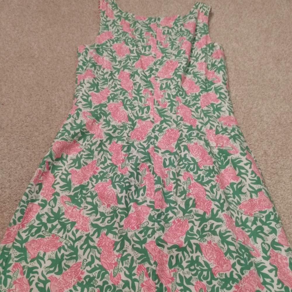 Lilly Pulitizer sundress